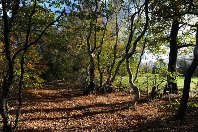 The average property price in Primley Park & Wigton Moor was £281,000.