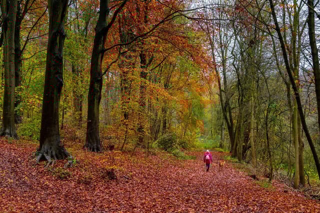 The average property price in Boston Spa & Bramham was £325,000.