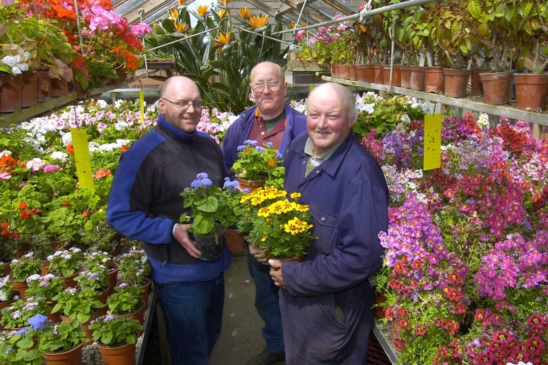 Sneaton Castle gardeners get ready for Whitby in Bloom.