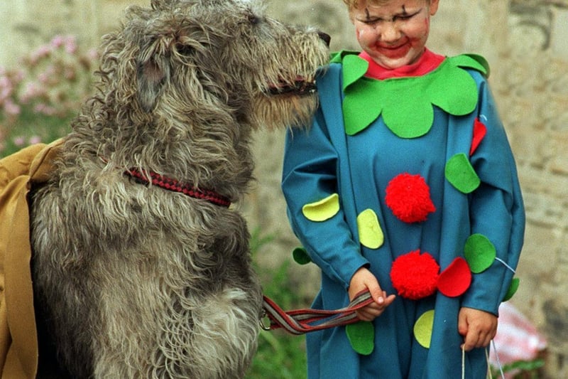 Jake Walker with Esk the Irish Wolfhound during a sponsored walk organised by the Peoples Dispensary for Sick Animals (PDSA) in Batley in July 1996.