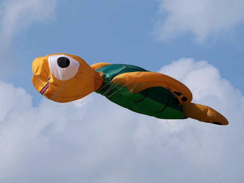 Large turtle flying in the sky.
