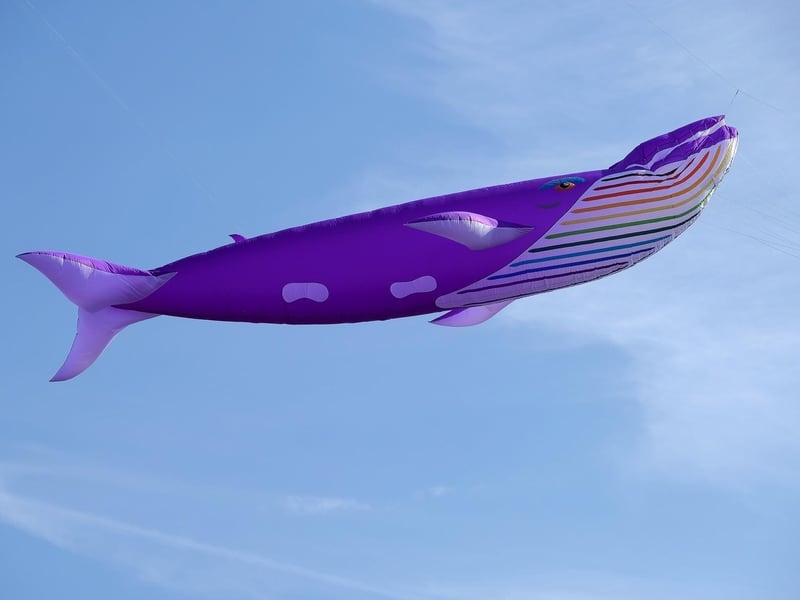 A brightly coloured tale takes to the sky.