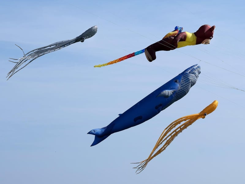 A collection of large creatures in the sky.