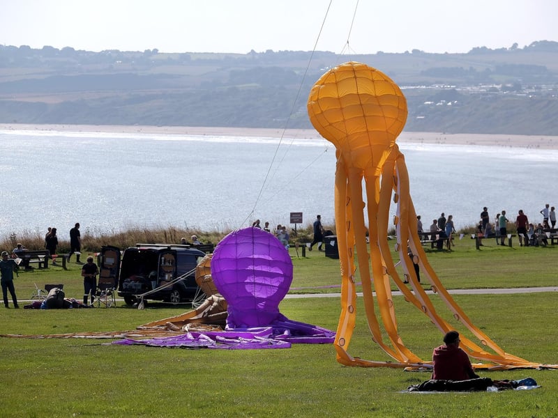 Sea creatures preparing to go up above the coastline.
