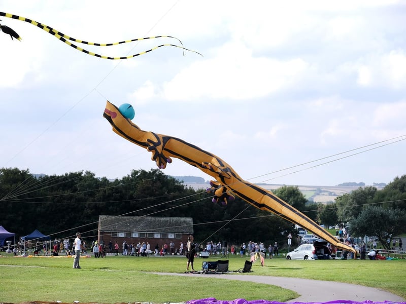 An enormous lizard takes flight.