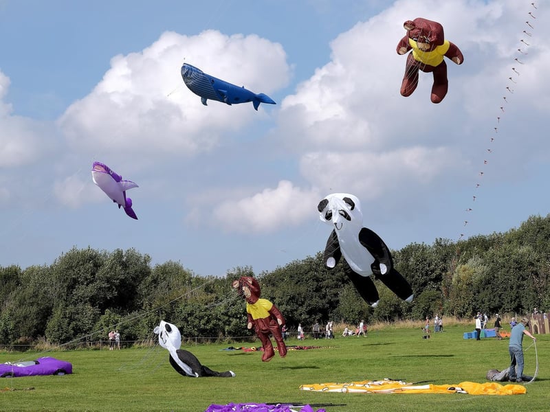 A selection of kites begin to take flight.