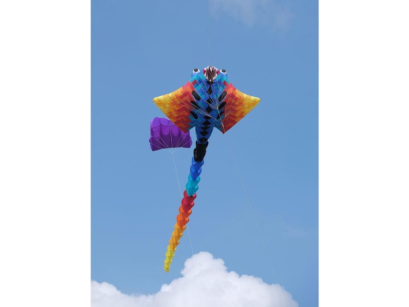 A brightly coloured creature in the sky.