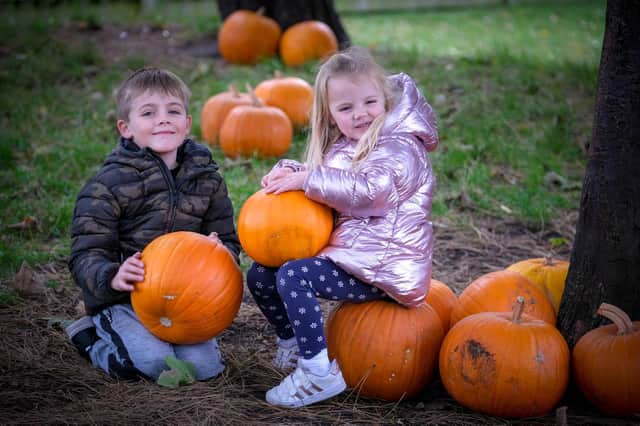 Rory and Grace Wilson enjoying Halloween fun at Lowther Gardens