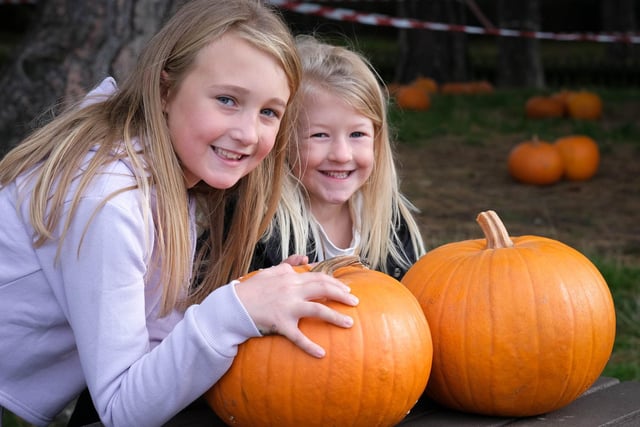 Delilah and Rosie Coome.
Children have the chance to pick pumpkins in the pumpkin patch and create magical designs in the pumpkin carving studio