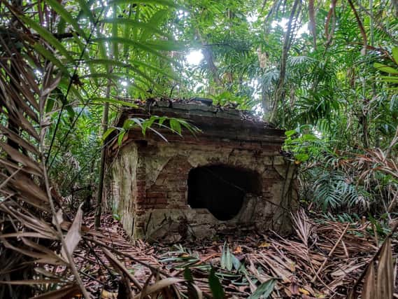 The forgotten tomb of one of Scotland's last slave owners has been found buried in deep jungle in Surinam, South America. PIC: Michael Hopcroft.
