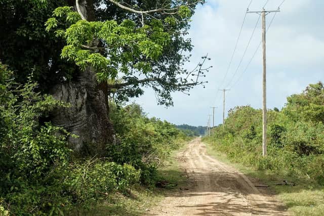 The road into the Waterloo plantation in Surinam, which was owned by Sir James Balfour from Fife from 1821 until his death 20 years later. He owned a total of 700 slaves. PIC: Michael Hopcroft.
