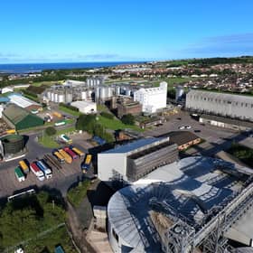Simpsons pointed to a rise in malt sales volumes on the back of increased plant utilisation. Picture: Contributed