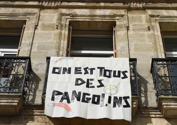 The banner, in Bordeaux, says “We are all pangolins” after a France ordered people to stay at home because of Covid-19 (Picture: Nicolas Tucat/AFP via Getty Images)