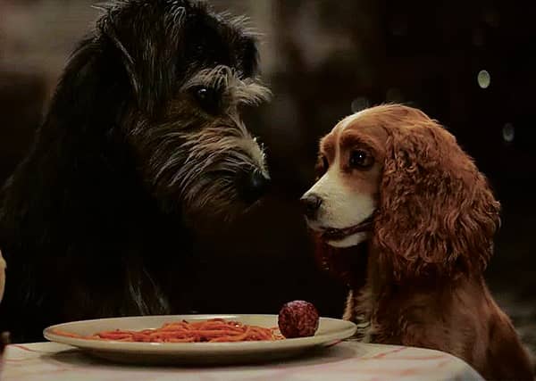 Lady and the Tramp
