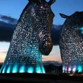 The ad says the sculptures would suit a "biggish" garden. Picture: PA