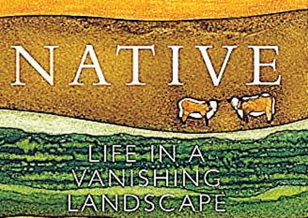 Native, by Patrick Laurie