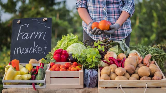 In addition to buying direct from farmers, people are also being encouraged to find their local farms and help harvest food if they have the time , as the UK is facing a potential shortage of 80,000 workers. Picture: Getty