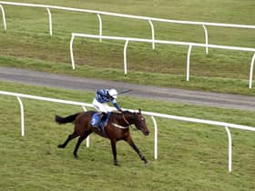 Sandy Thomson’s Duc De Grissay won the Novices’ Handicap Chase at Kelso yesterday after being sent off the 8-11 favourite. Picture: PA