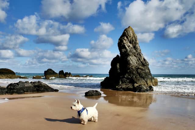 The spectacular beach at Sango Bay at Durness, Sutherland, makes it a popular destination for tourists