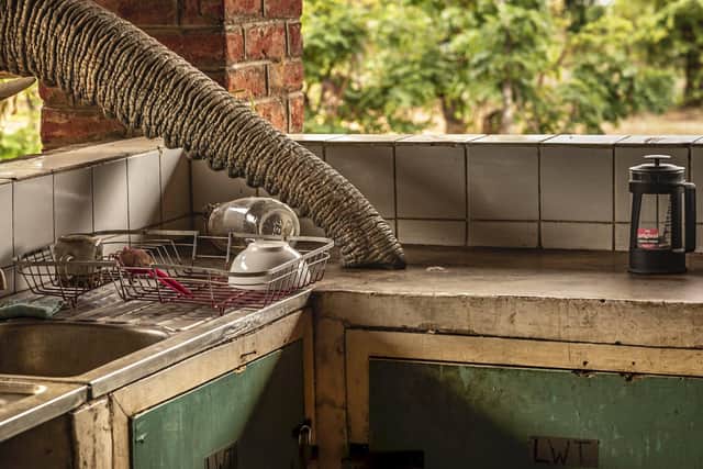 After an unsuccessful attempt at grabbing a snack, this African savanna elephant took out its frustrations on the roof of an open-air kitchen in Malawi's Kasungu National Park. Picture: California Academy of Sciences' BigPicture Natural World Photography Competition.