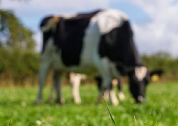 Farming is in a position of uncertainty, with climate and labour challenges and market unpredictability a reality for many