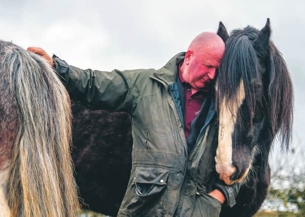 Blackstone Farm Heavy Horse Riding Experience is currently in coronavirus lockdown and owners John and Magi Duncan like many others are struggling financially.  Picture: John Devlin