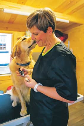 Susan Thomson advises owners to keep their pet’s coat looking its best with regular brushing while professional groomers are not working.