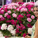 Stobo Castle Ladies Day at Musselburgh Racecourse is a highlight of the Scottish racing calendar and is always a sell-out. Picture: Alan Rennie