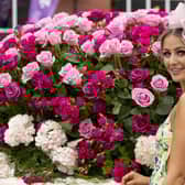 Stobo Castle Ladies Day at Musselburgh Racecourse is a highlight of the Scottish racing calendar and is always a sell-out. Picture: Alan Rennie