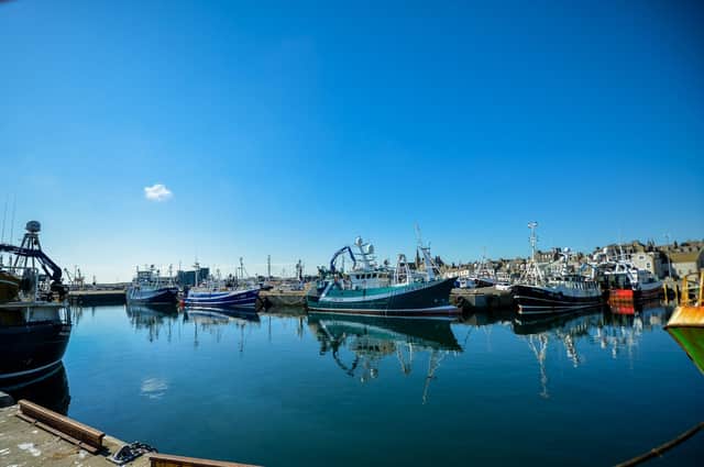 A full Fraserburgh harbour as pretty much all the Scottish fishing fleet are tied up