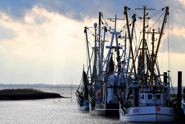 This fishing trawler is pictured in the harbour of Wremen in nothern Germany. Picture: Patrik Stollarz/AFP via Getty Images