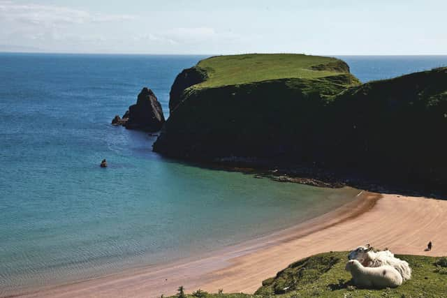 Explore the Belfast to Newry coastline in Ireland: Picture: Martin Dorey