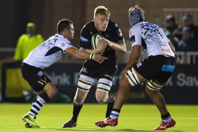 Andrew Davidson in action for Glasgow against Zebre in the Guinness Pro14. Picture: Ross Parker/SNS/SRU