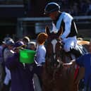 Sharing is a familiar name to followers of the international scene after her Juvenile Fillies Turf win. Picture: Joe Scarnici/Getty