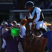 Sharing is a familiar name to followers of the international scene after her Juvenile Fillies Turf win. Picture: Joe Scarnici/Getty