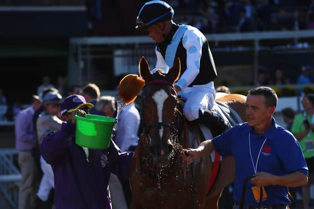 Sharing is a familiar name to followers of the international scene after her Juvenile Fillies Turf win. Picture: Joe Scarnici/Getty