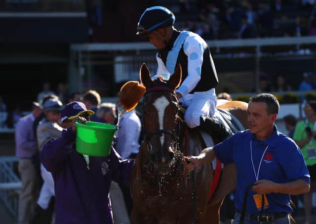 Sharing is a familiar name to followers of the international scene after her Juvenile Fillies Turf win. Picture: Joe Scarnici/Getty
