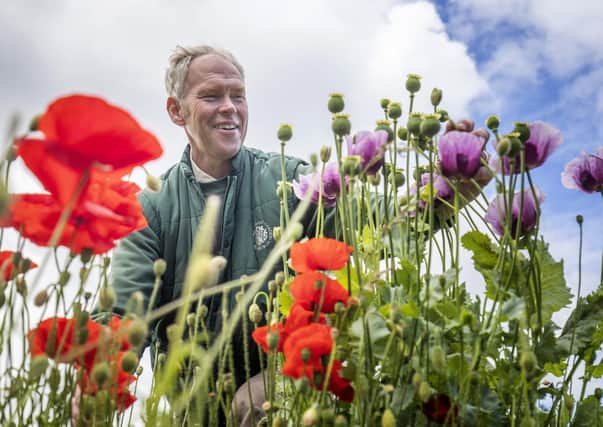 Horticulturist Andy Towll at work in the grounds of the Royal Botanic Garden Edinburgh