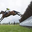 Nineohtwooneoh clears the last on his way to victory at Southwell. Picture: Edward Whitaker/Pool via Getty