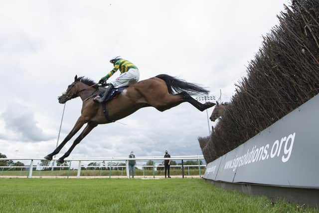 Nineohtwooneoh clears the last on his way to victory at Southwell. Picture: Edward Whitaker/Pool via Getty