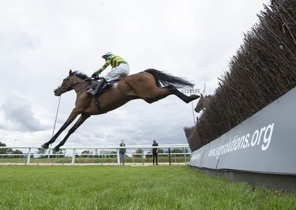 Nineohtwooneoh clears the last on his way to victory at Southwell. Picture: Edward Whitaker/Pool via Getty