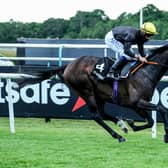 English King, with Tom Marquand aboard, wins the Derby Trial Stakes at Lingfield. Picture PA Wire