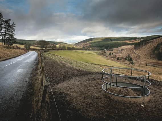 The B6399 outside Newcastleton, where there is a Camping and Motorhome Club site, near one of the 7Stanes cycle circuit sites. Picture: Martin Dorey