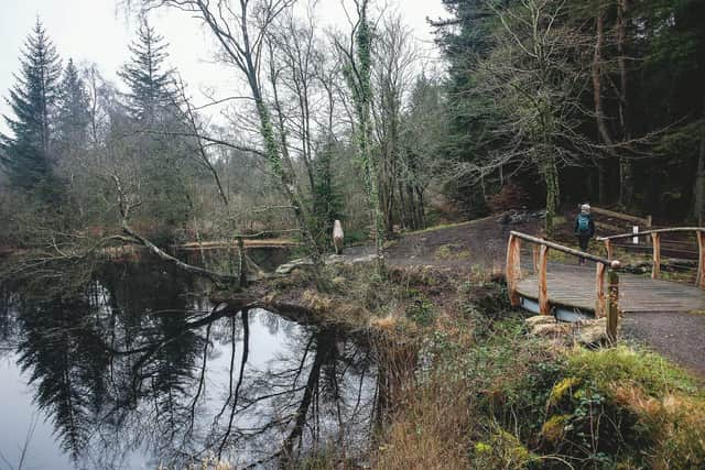 the Gemstone and lakes at 7Stanes bikepark at Kirroughtree. Picture: Martin Dorey