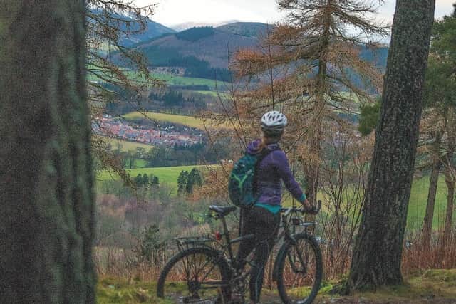 Views over the Tweed Valley at 7Stanes bikepark at Glentress. Picture: Martin Dorey
