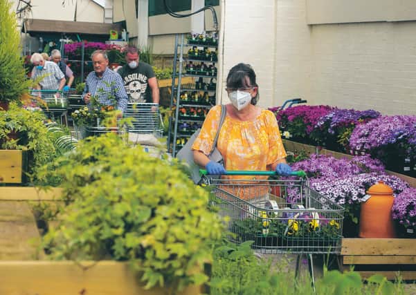 Scotland's gardening centres reopened their doors last Friday. Photograph Jeff Holmes