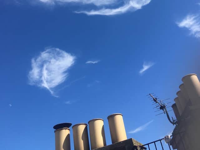 The highs and lows of easing lockdown. Picture: Janet Christie