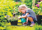 More than half of people in the UK have been taking up gardening since coronavirus restrictions were imposed. Picture: iStock/PA