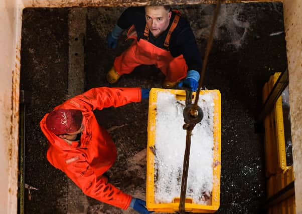 Crew members of the Radiant Star fishing in the North Sea. Picture: Jeff J Mitchell/Getty Images