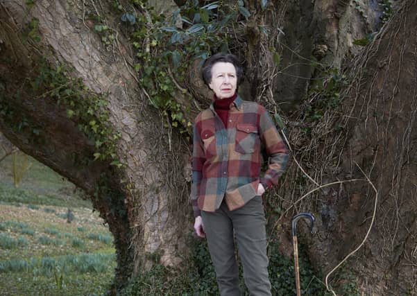 One of three official photographs taken by John Swannell of The Princess Royal which have been released to celebrate her 70th birthday. Picture : John Swannell / Camera Press